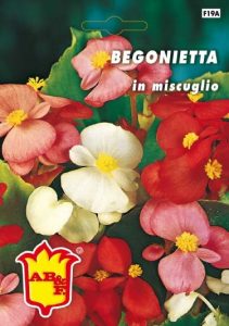 BEGONIETTA mix
