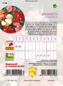 BEGONIETTA mix