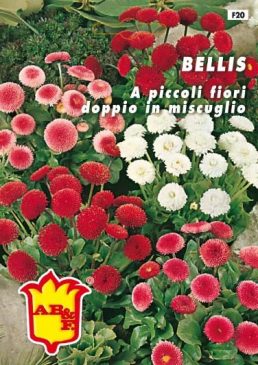 BELLIS mix