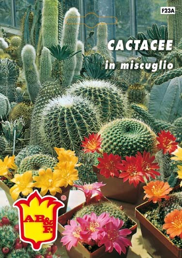 CACTACEE mix