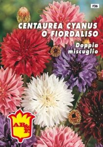 CENTAUREA o fiordaliso perenne mix