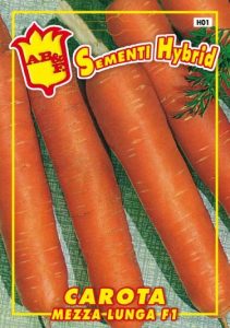 CAROTA Mezza lunga