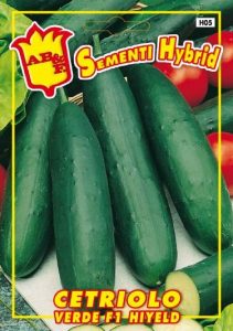 CETRIOLO VERDE