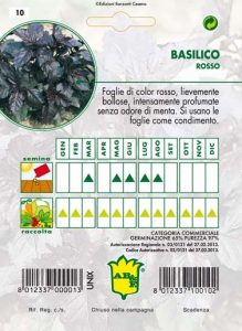 BASILICO Foglia violetta