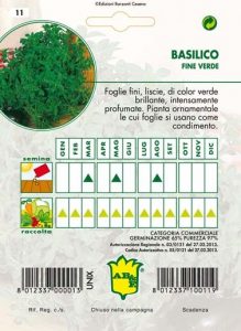 BASILICO Fino verde
