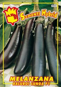 MELANZANA Lunga violetta