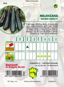 MELANZANA Lunga violetta