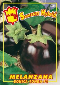MELANZANA Tonda