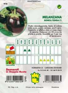 MELANZANA Tonda