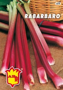 RABARBARO