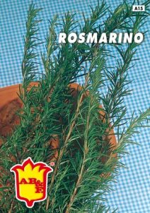 ROSMARINO