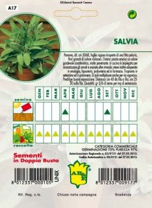 SALVIA