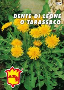 TARASSACO (DENTE DEL LEONE)