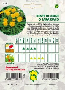 TARASSACO (DENTE DEL LEONE)