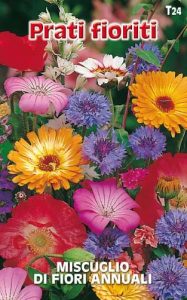 MISCUGLIO di fiori annuali