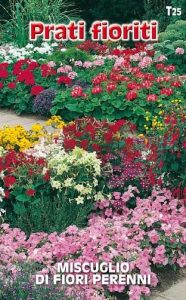 MISCUGLIO di fiori perenni