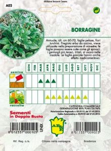 BORRAGINE