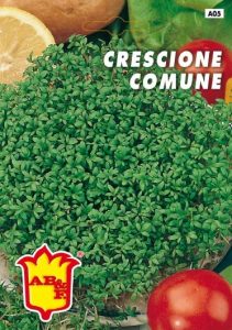 CRESCIONE