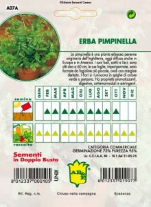 ERBA PIMPINELLA