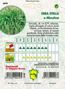 ERBA STELLA
