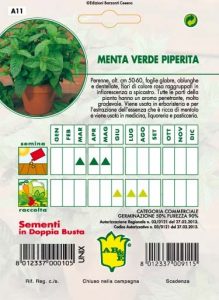 MENTA PIPERITA