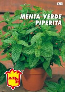 MENTA PIPERITA