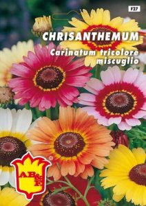 CENTAUREA o fiordaliso perenne mix