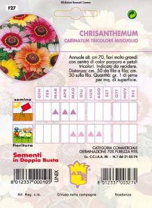 CENTAUREA o fiordaliso perenne mix