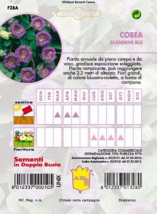 COBEA Scandens blu