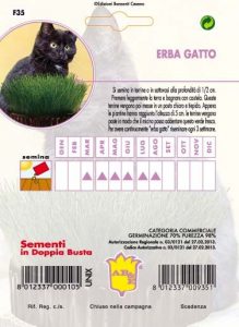 DALIA nana da bordatura mix