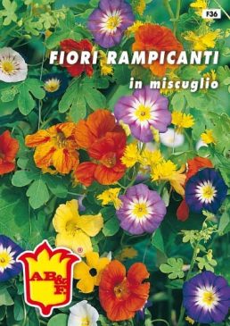 FIORI RAMPICANTI (in miscuglio)