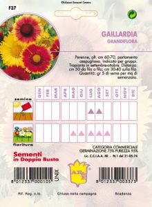 FIORI RAMPICANTI (in miscuglio)