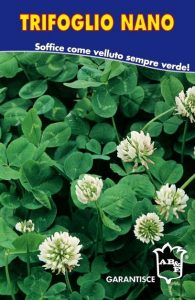 TRIFOGLIO LADINO NANO REPENS