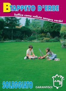 MISCUGLIO TIPO B SOLEGGIATO