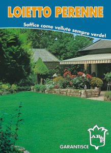 LOIETTO PERENNE