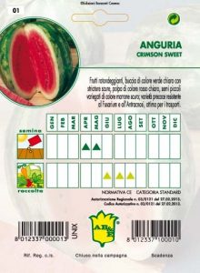 ANGURIA Crimson Sweet