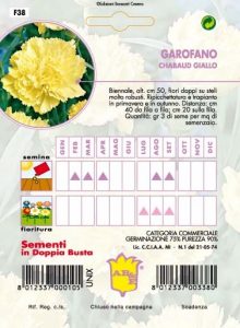 GAROFANO CHABAUD Giallo