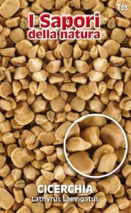 CICERCHIA
