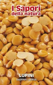 LUPINI