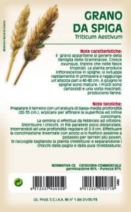 GRANO DA SPIGA