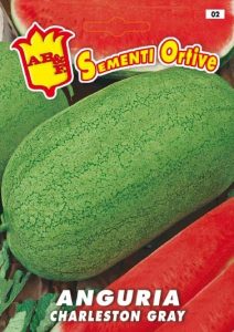 ANGURIA Charleston Gray