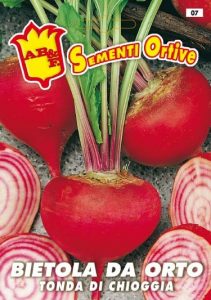 BARBABIETOLA DA ORTO Tonda di Chioggia