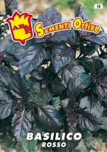 BASILICO Foglia violetta