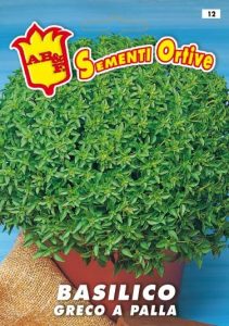 BASILICO Greco a Palla