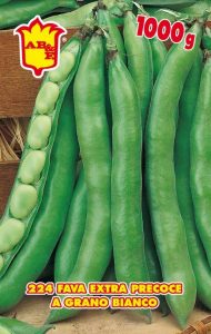 FAVA Precoce a grano bianco