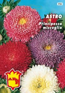 ASTRO Principessa mix