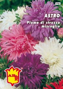 ASTRO Piuma di Struzzo mix