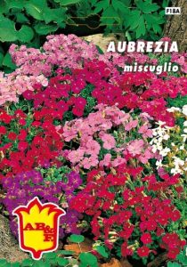 AUBREZIA Miscuglio
