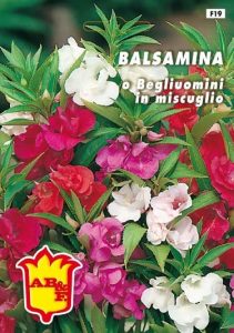 BALSAMINA o Begliuomini mix