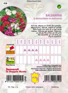 BALSAMINA o Begliuomini mix